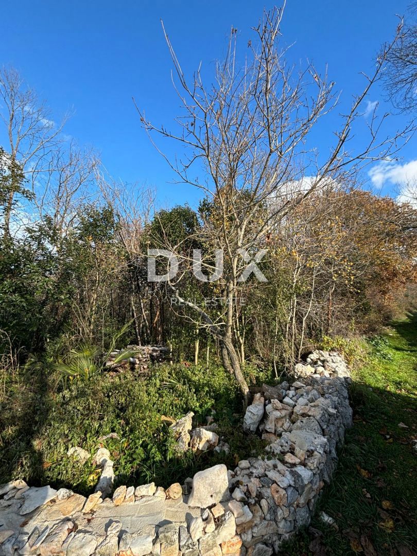 ISTRIA, VIŠNJAN - Terreno a cascata per diverse ville!