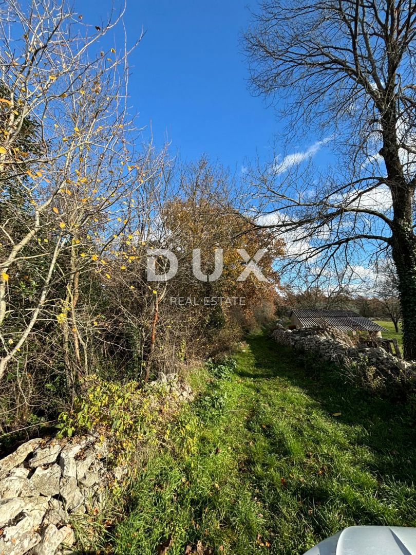 ISTRIA, VIŠNJAN - Terreno a cascata per diverse ville!