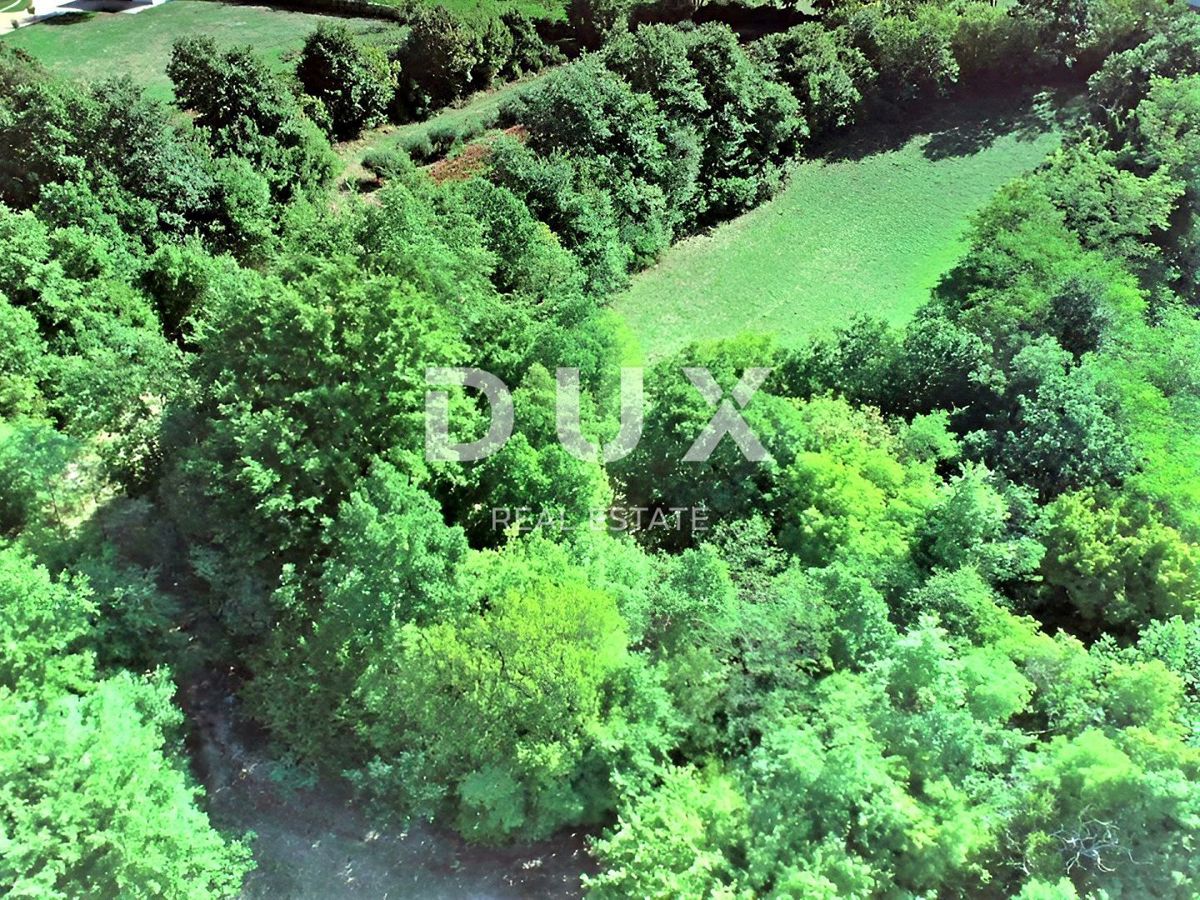 ISTRIA, ŽMINJ - Eccezionale terreno combinato