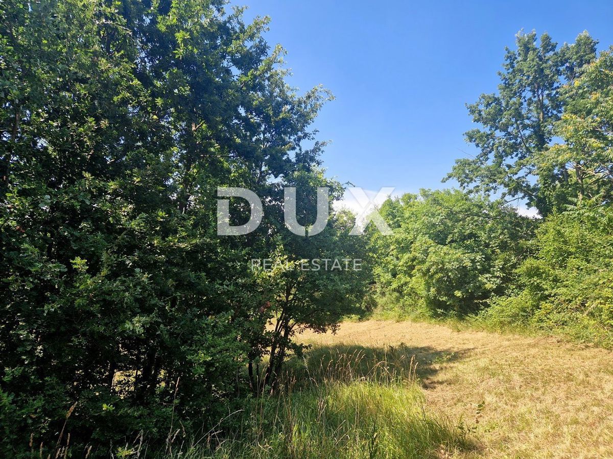ISTRIA, ŽMINJ - Eccezionale terreno combinato