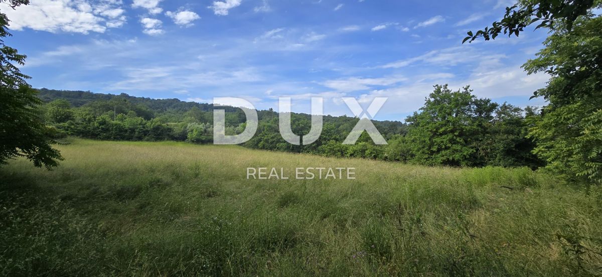 ISTRIA, LABIN - Ampia proprietà con 3 case e 18.500 m2 di terreno