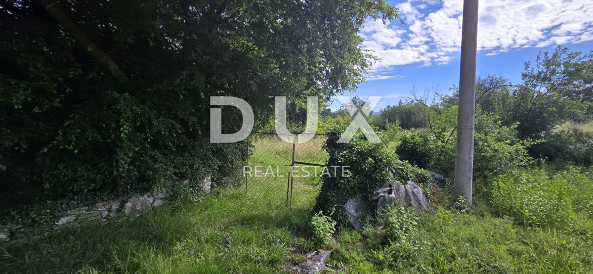 ISTRIA, LABIN - Ampia proprietà con 3 case e 18.500 m2 di terreno