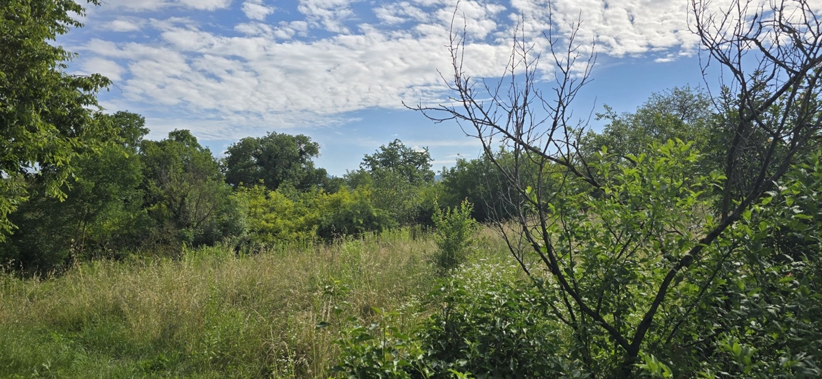 ISTRIA, LABIN - Ampia proprietà con 3 case e 18.500 m2 di terreno