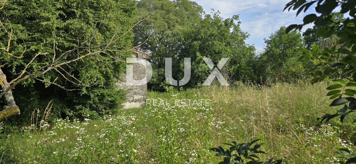 ISTRIA, LABIN - Ampia proprietà con 3 case e 18.500 m2 di terreno