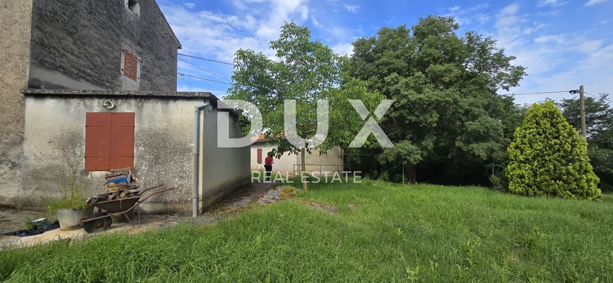 ISTRIA, LABIN - Ampia proprietà con 3 case e 18.500 m2 di terreno