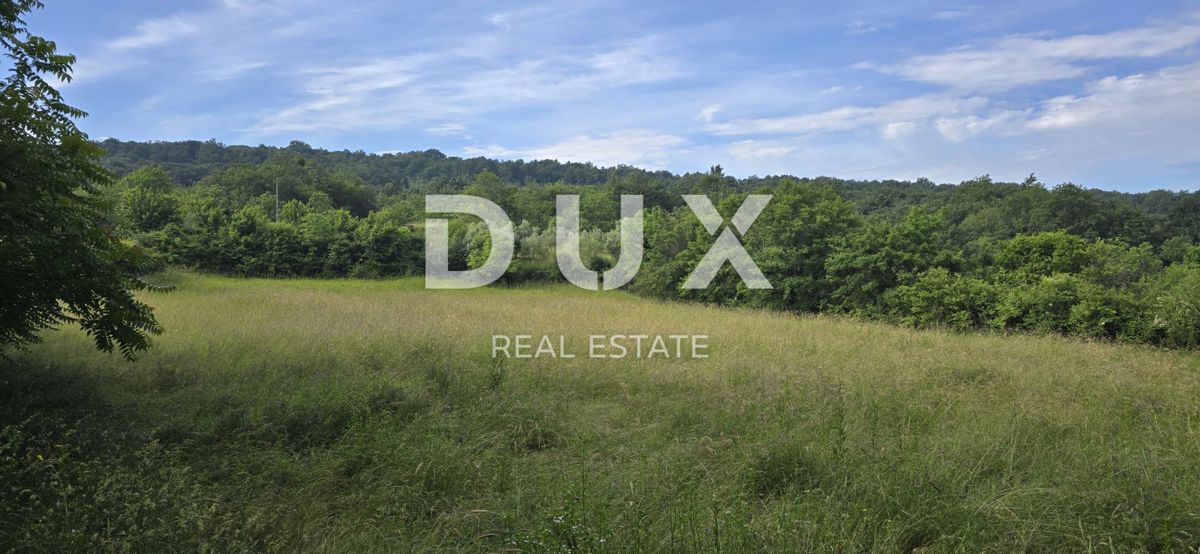 ISTRIA, LABIN - Ampia proprietà con 3 case e 18.500 m2 di terreno