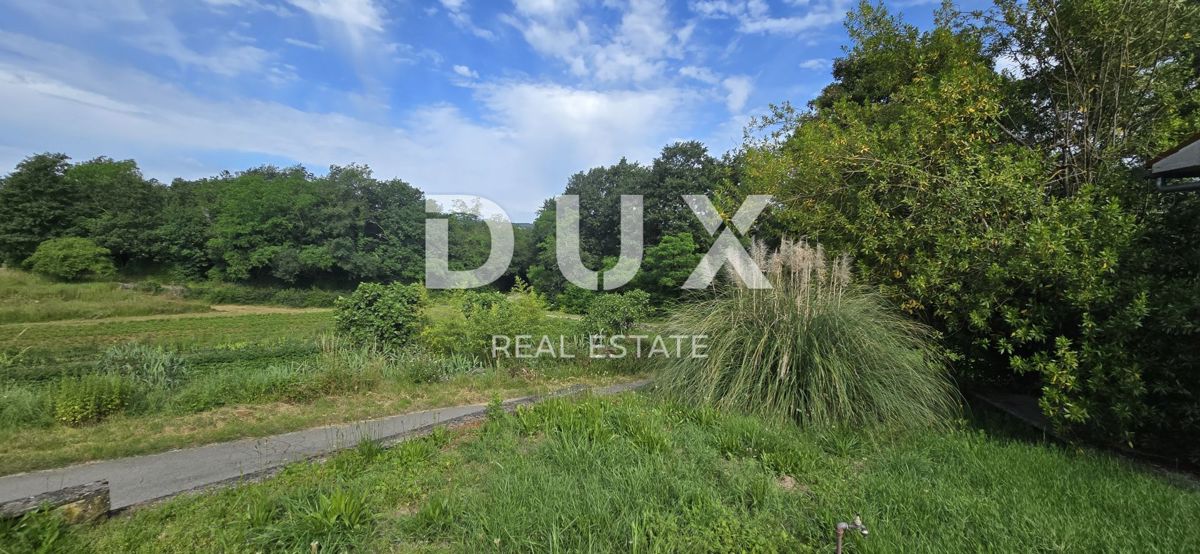 ISTRIA, LABIN - Ampia proprietà con 3 case e 18.500 m2 di terreno