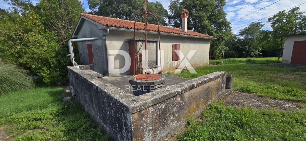 ISTRIA, LABIN - Ampia proprietà con 3 case e 18.500 m2 di terreno