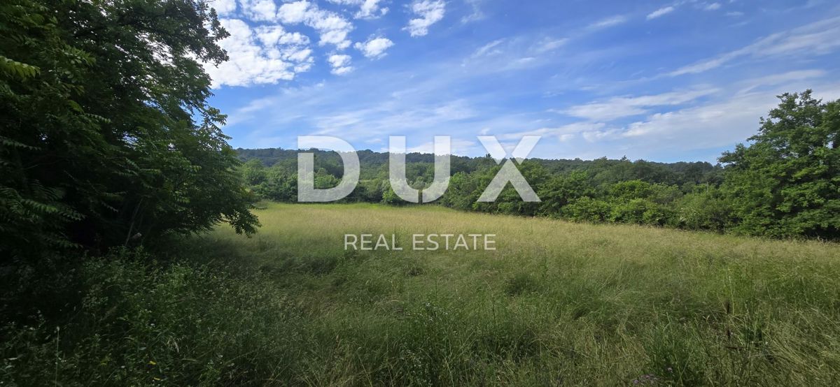 ISTRIA, LABIN - Ampia proprietà con 3 case e 18.500 m2 di terreno