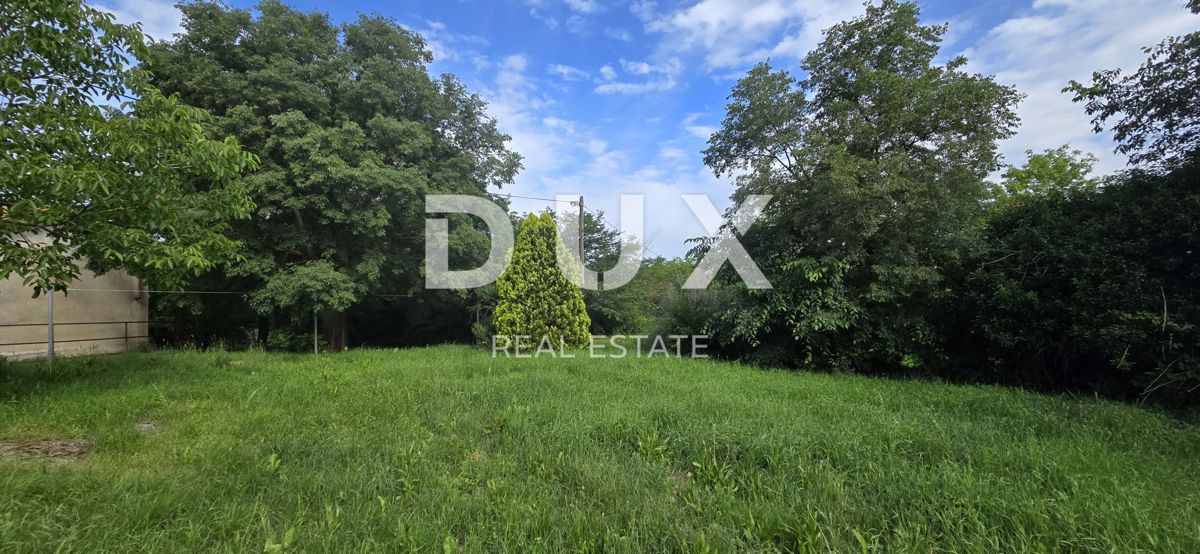 ISTRIA, LABIN - Ampia proprietà con 3 case e 18.500 m2 di terreno