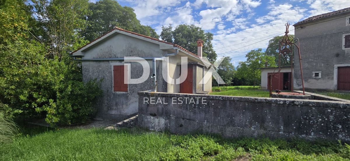 ISTRIA, LABIN - Ampia proprietà con 3 case e 18.500 m2 di terreno