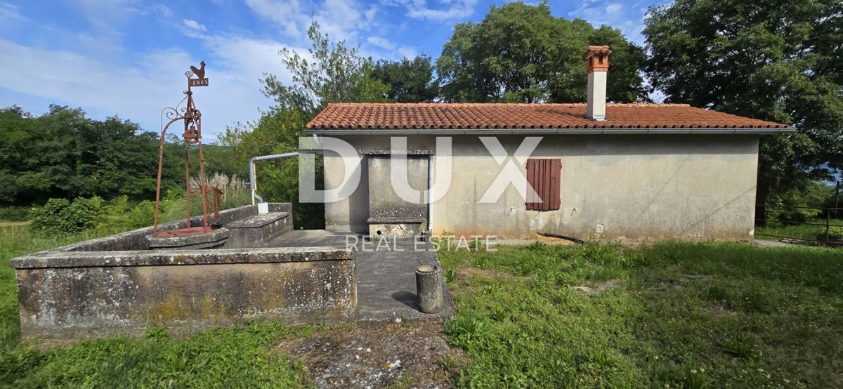 ISTRIA, LABIN - Ampia proprietà con 3 case e 18.500 m2 di terreno