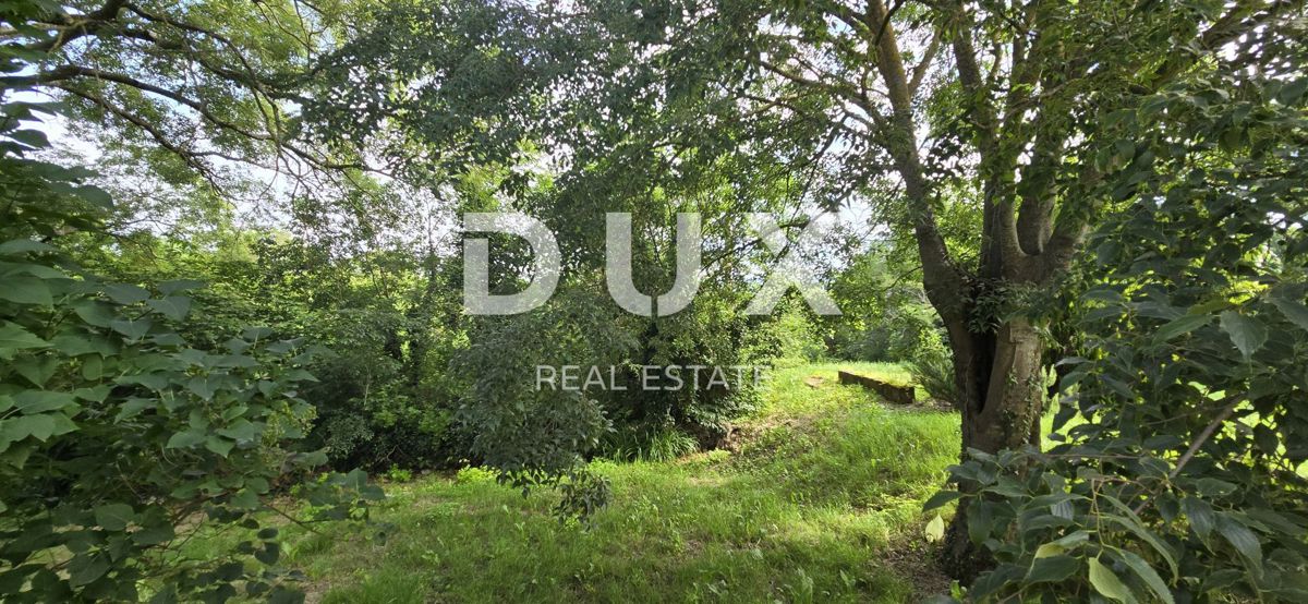 ISTRIA, LABIN - Ampia proprietà con 3 case e 18.500 m2 di terreno