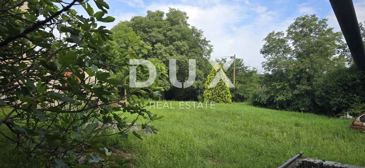 ISTRIA, LABIN - Ampia proprietà con 3 case e 18.500 m2 di terreno