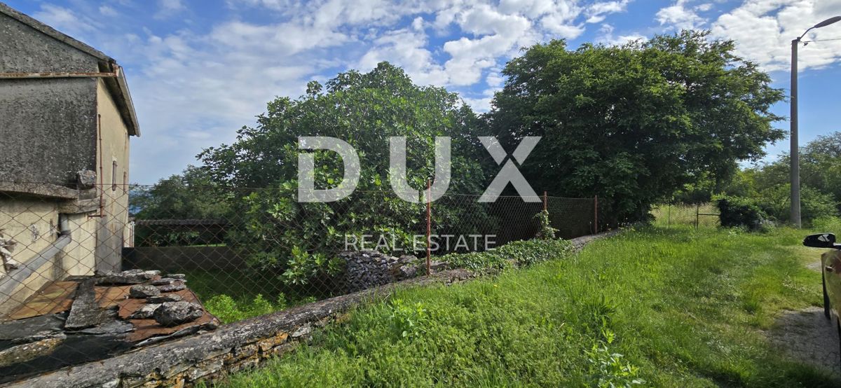 ISTRIA, LABIN - Ampia proprietà con 3 case e 18.500 m2 di terreno