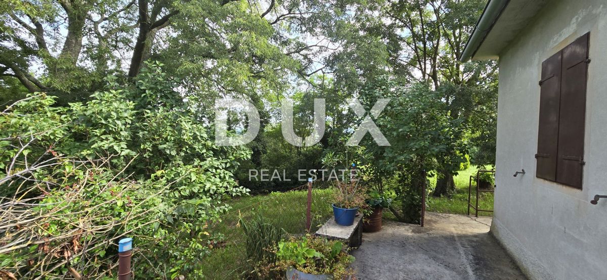 ISTRIA, LABIN - Ampia proprietà con 3 case e 18.500 m2 di terreno