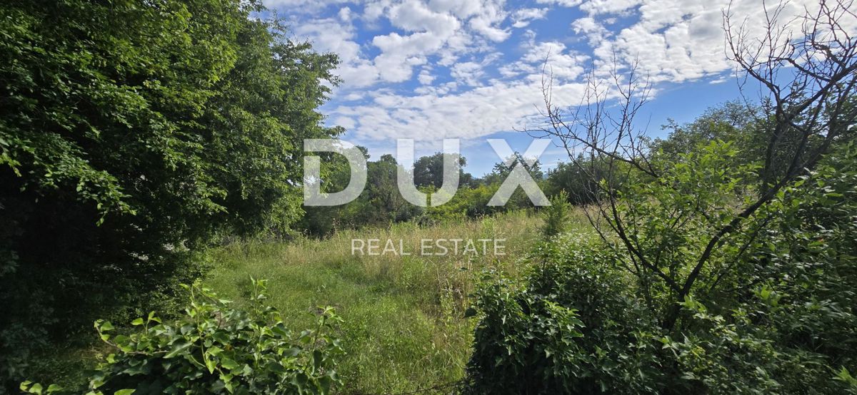 ISTRIA, LABIN - Ampia proprietà con 3 case e 18.500 m2 di terreno