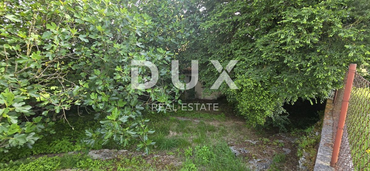 ISTRIA, LABIN - Ampia proprietà con 3 case e 18.500 m2 di terreno