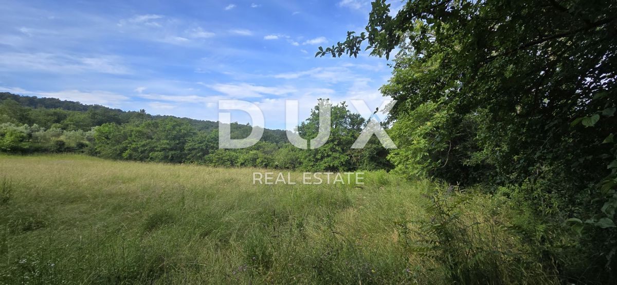 ISTRIA, LABIN - Ampia proprietà con 3 case e 18.500 m2 di terreno