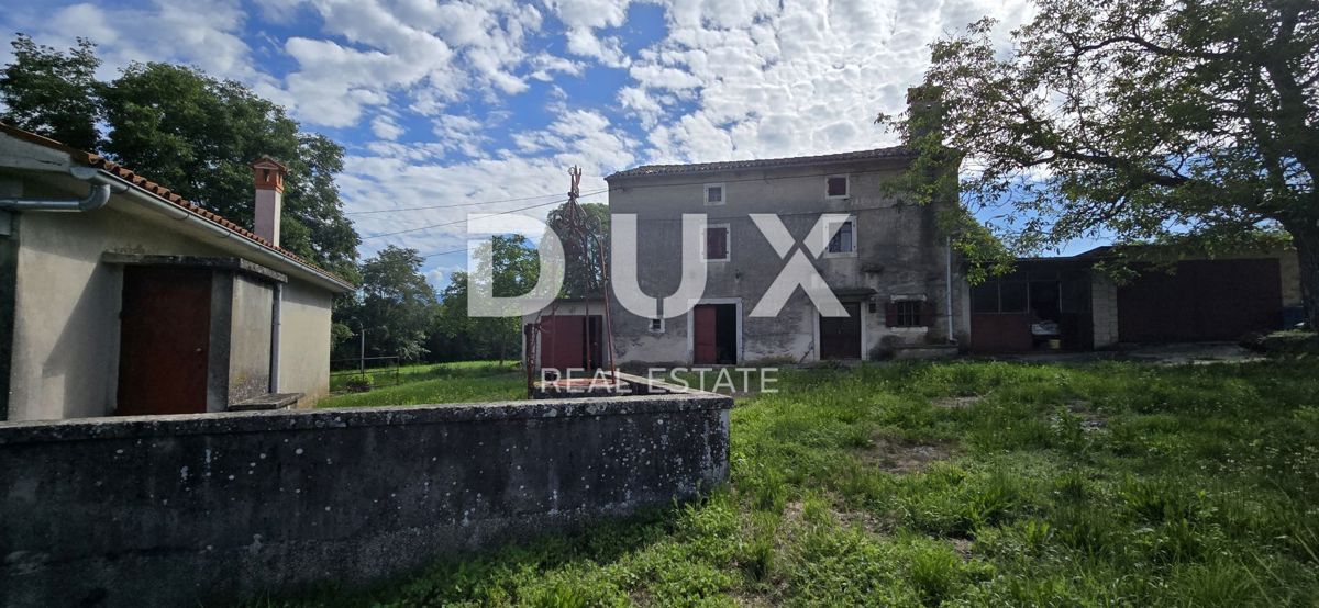 ISTRIA, LABIN - Ampia proprietà con 3 case e 18.500 m2 di terreno