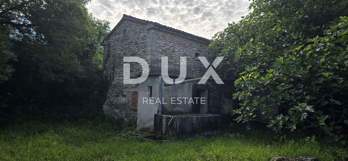 ISTRIA, LABIN - Ampia proprietà con 3 case e 18.500 m2 di terreno