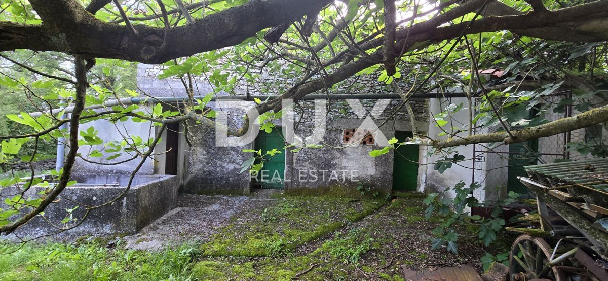 ISTRIA, LABIN - Ampia proprietà con 3 case e 18.500 m2 di terreno