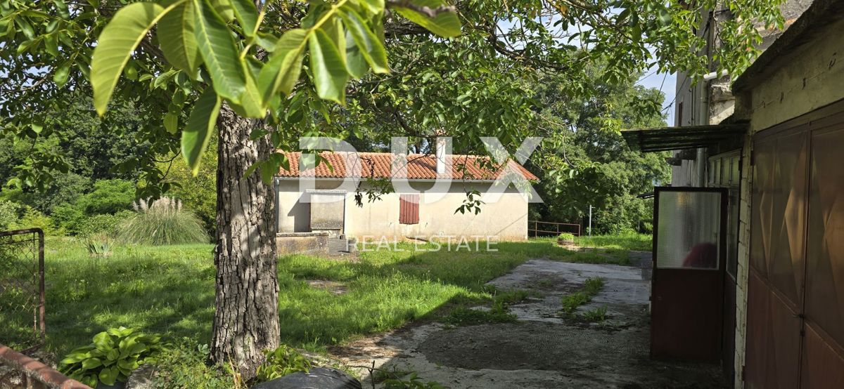 ISTRIA, LABIN - Ampia proprietà con 3 case e 18.500 m2 di terreno