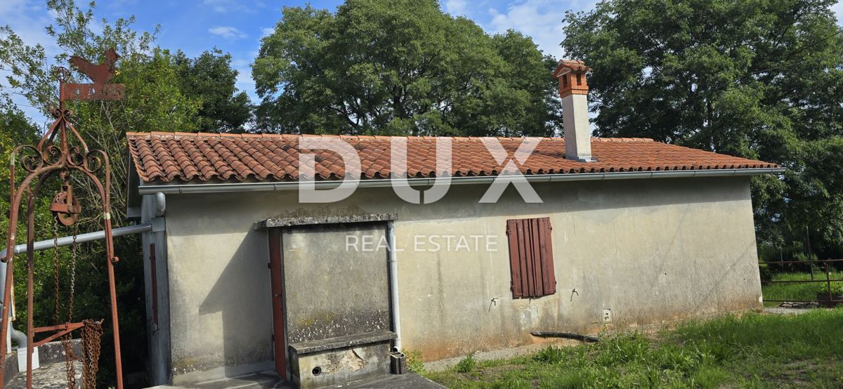 ISTRIA, LABIN - Ampia proprietà con 3 case e 18.500 m2 di terreno