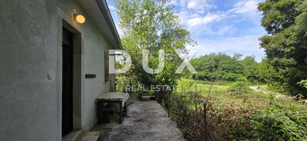 ISTRIA, LABIN - Ampia proprietà con 3 case e 18.500 m2 di terreno