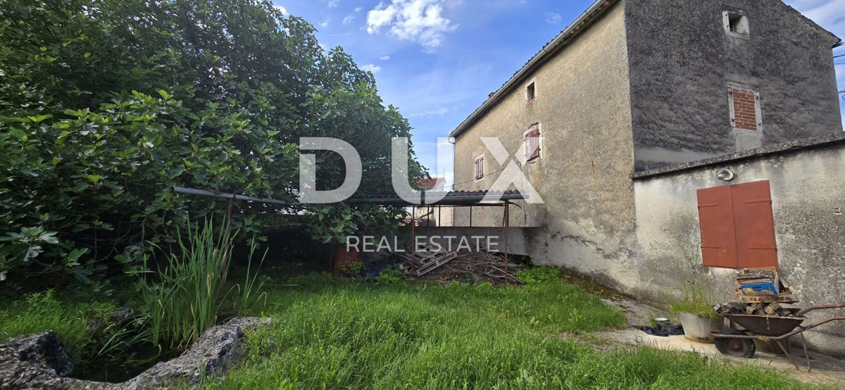 ISTRIA, LABIN - Ampia proprietà con 3 case e 18.500 m2 di terreno