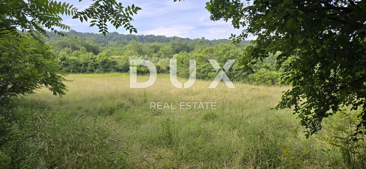 ISTRIA, LABIN - Ampia proprietà con 3 case e 18.500 m2 di terreno