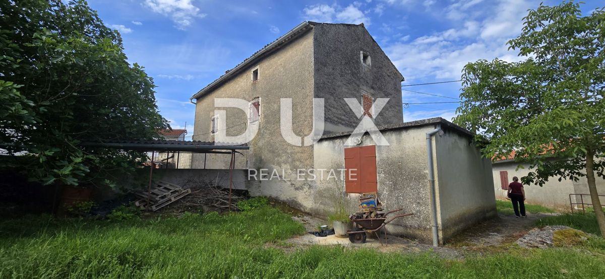 ISTRIA, LABIN - Ampia proprietà con 3 case e 18.500 m2 di terreno