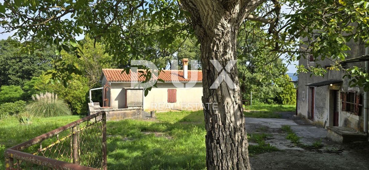 ISTRIA, LABIN - Ampia proprietà con 3 case e 18.500 m2 di terreno