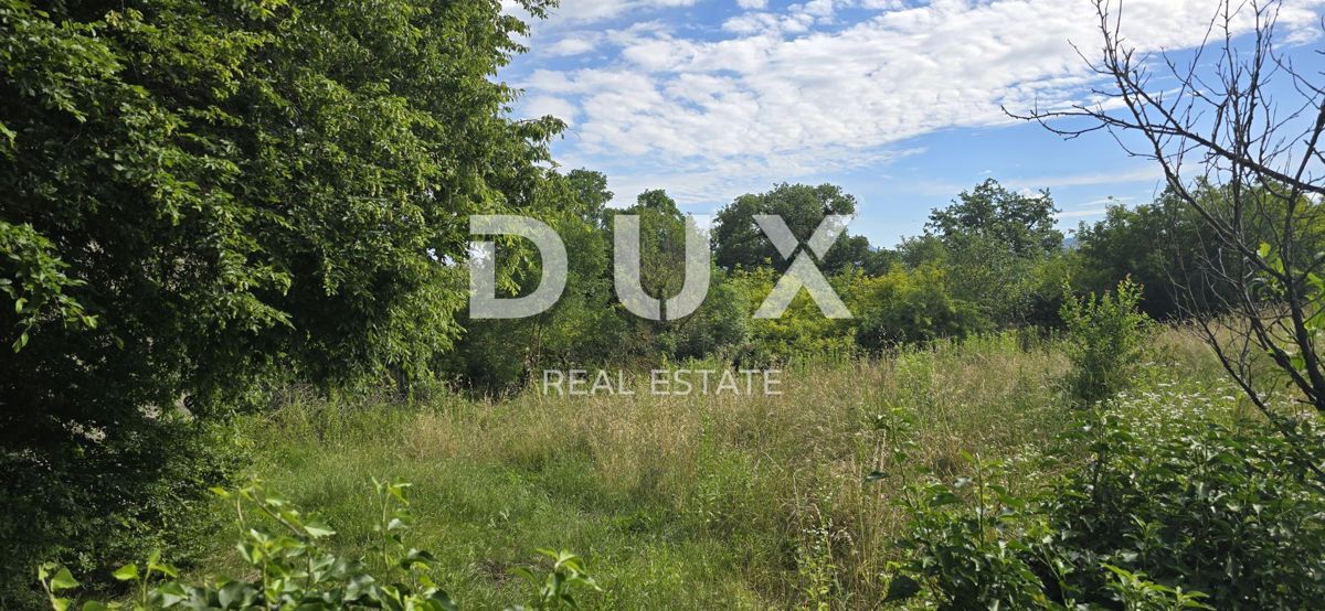 ISTRIA, LABIN - Ampia proprietà con 3 case e 18.500 m2 di terreno
