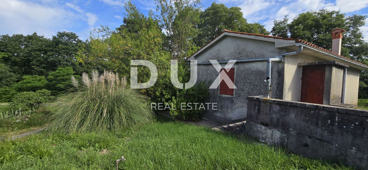 ISTRIA, LABIN - Ampia proprietà con 3 case e 18.500 m2 di terreno