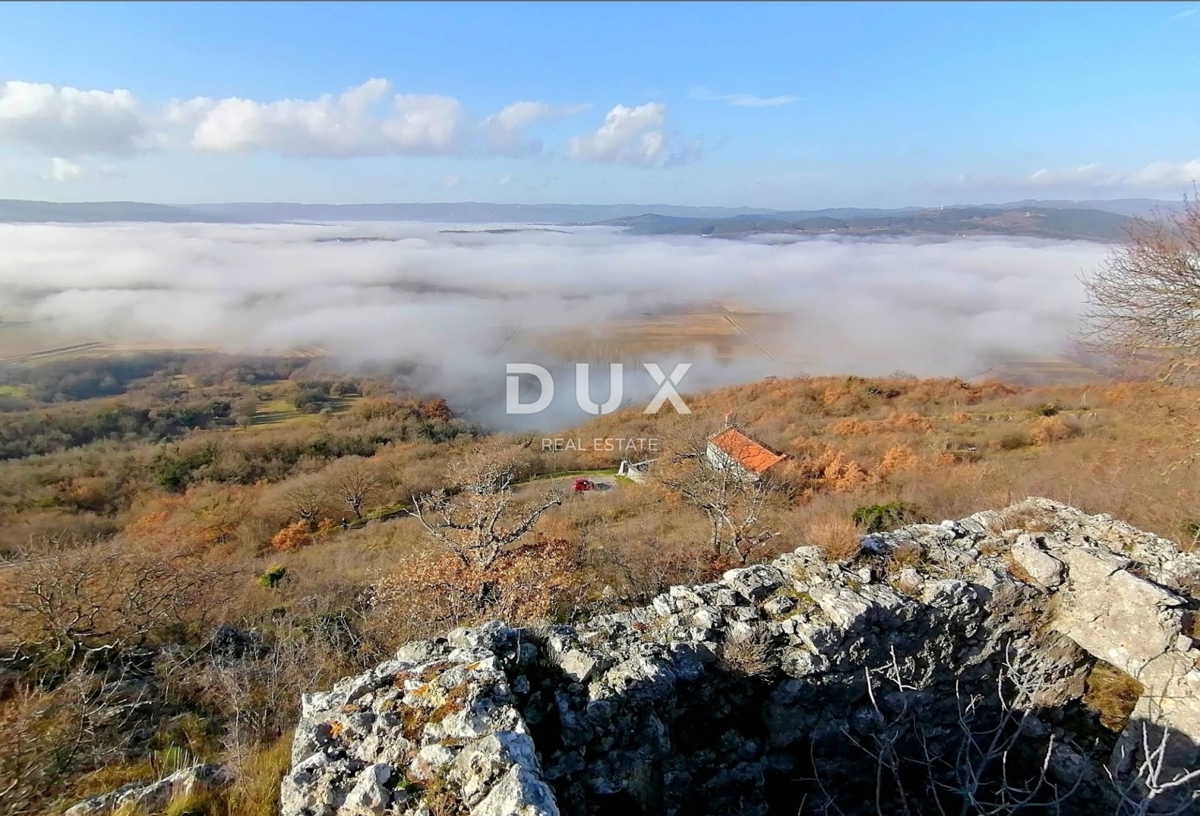 JESENOVIK, KRŠAN - casa in rovina disegnata 130m2 con fienile 55m2 + terreno 11500m2 (10000m2 agricolo + 1500m terreno edificabile)
