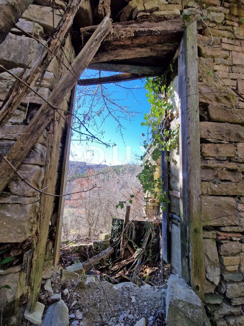 ISTRIA, PAZIN - Proprietà con potenziale in posizione appartata