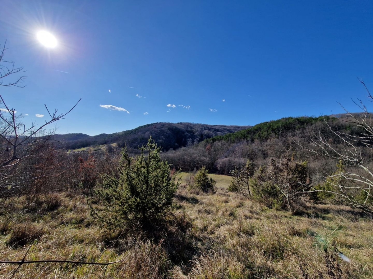 ISTRIA, PAZIN - Proprietà con potenziale in posizione appartata