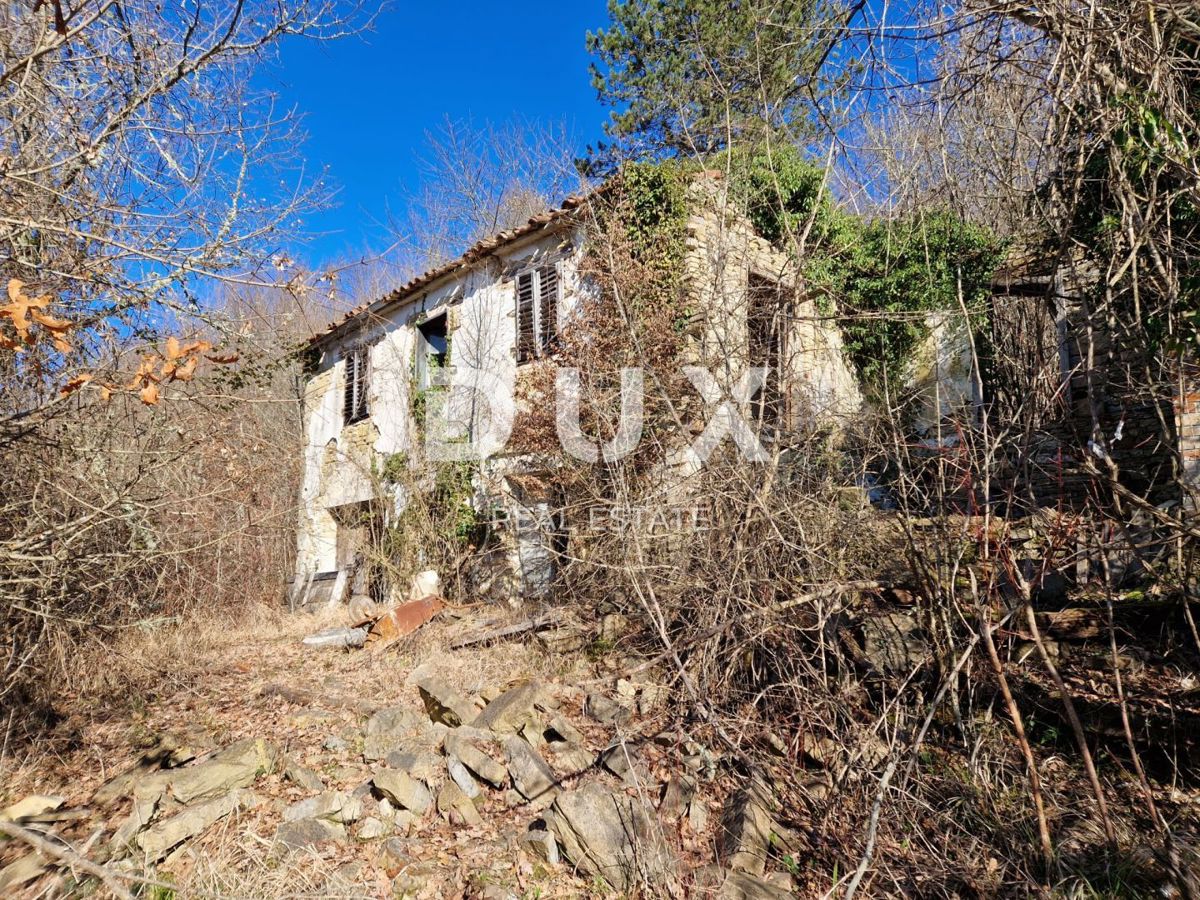 ISTRIA, PAZIN - Proprietà con potenziale in posizione appartata
