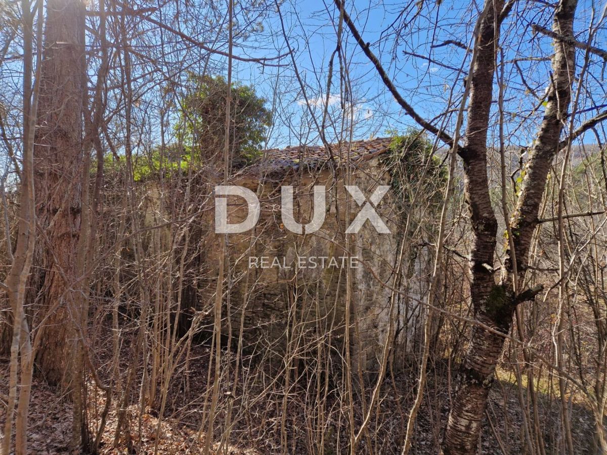 ISTRIA, PAZIN - Proprietà con potenziale in posizione appartata