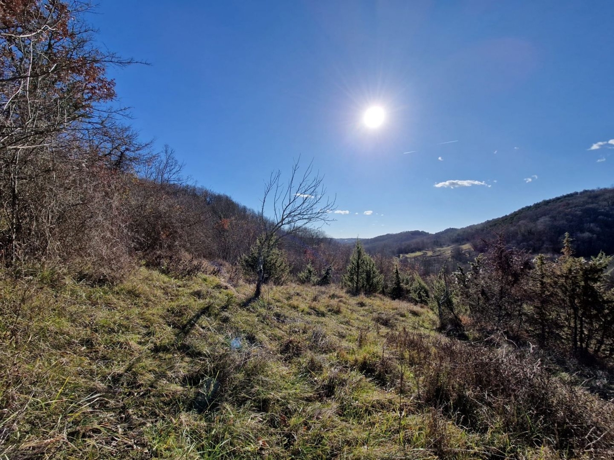 ISTRIA, PAZIN - Proprietà con potenziale in posizione appartata