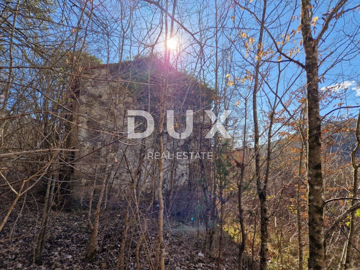 ISTRIA, PAZIN - Proprietà con potenziale in posizione appartata