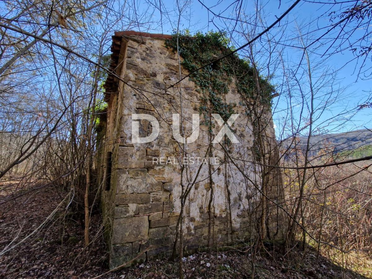 ISTRIA, PAZIN - Proprietà con potenziale in posizione appartata