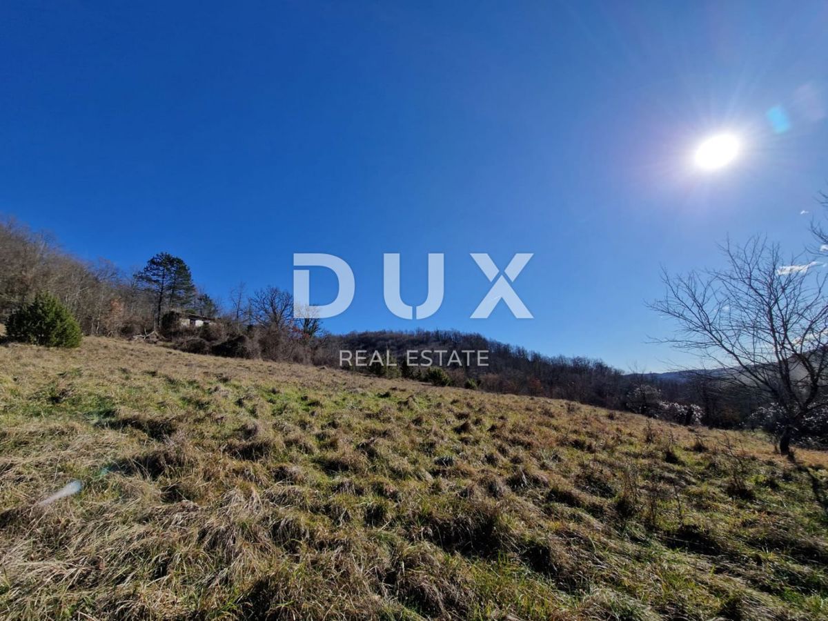 ISTRIA, PAZIN - Proprietà con potenziale in posizione appartata