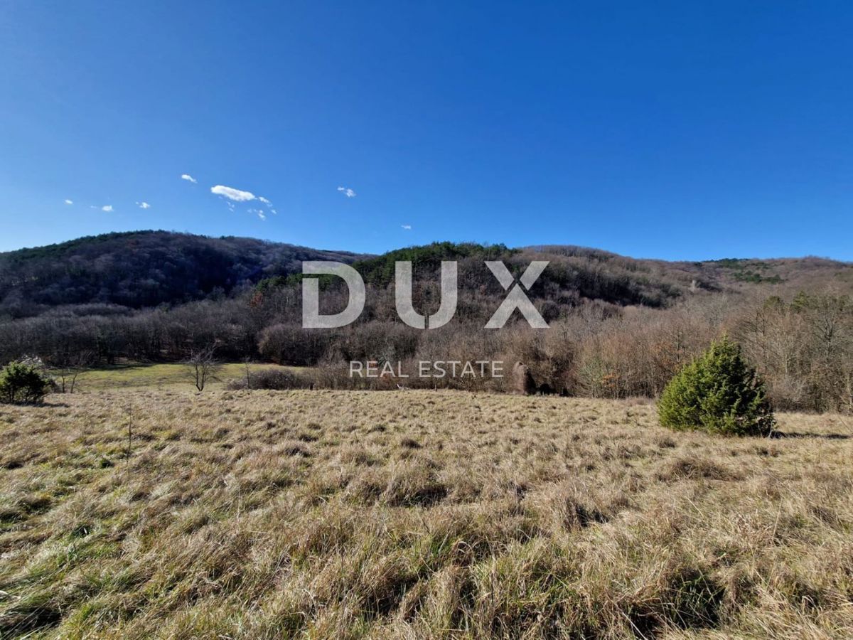 ISTRIA, PAZIN - Proprietà con potenziale in posizione appartata