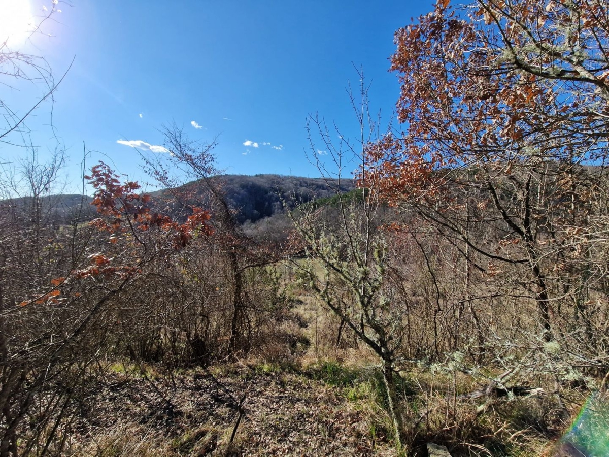 ISTRIA, PAZIN - Proprietà con potenziale in posizione appartata