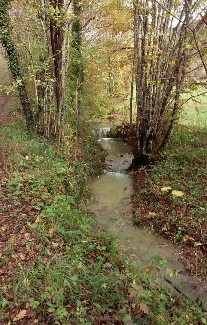 ISTRIA, PAZIN - Proprietà con potenziale in posizione appartata