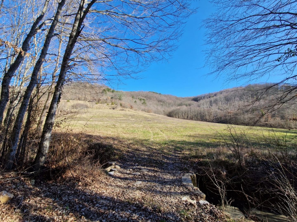 ISTRIA, PAZIN - Proprietà con potenziale in posizione appartata