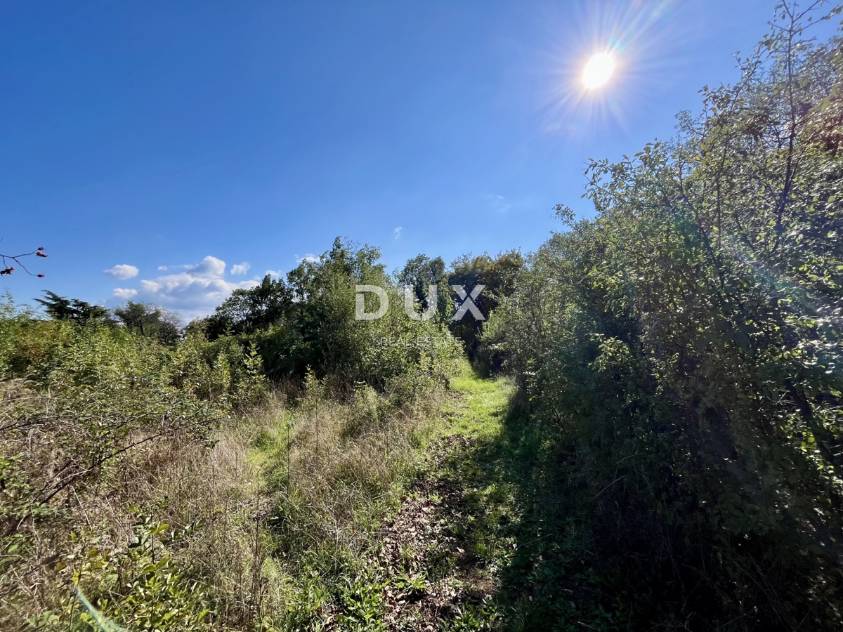 RIJEKA, MARTINKOVAC - Terreno edificabile attraente, ideale per investitori