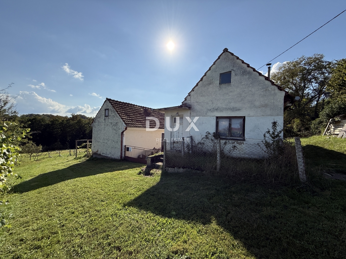 KARLOVAC, VELIKA JELSA - proprietà con un grande potenziale